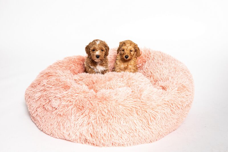 Donut bed Oud roze