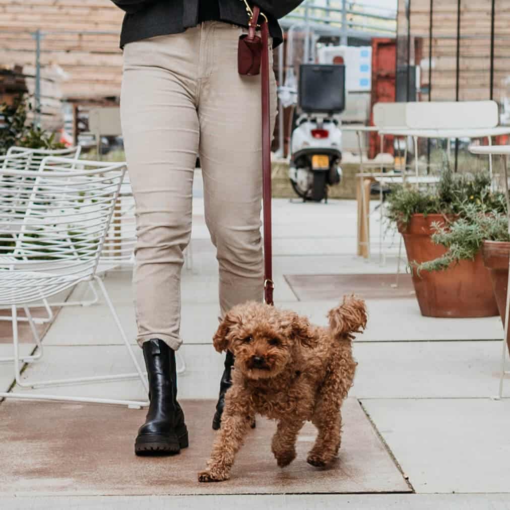 Honden poepzakhouder Bordeaux met goud