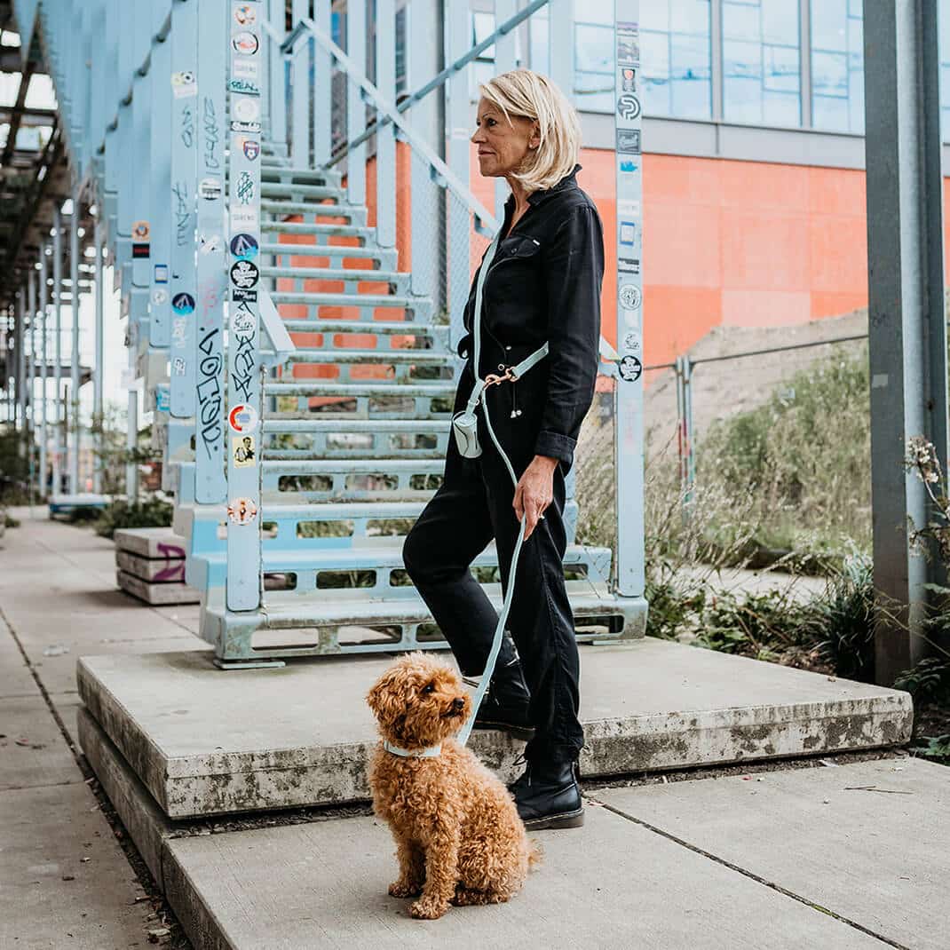 Honden poepzakhouder Mintgroen met rosé goud