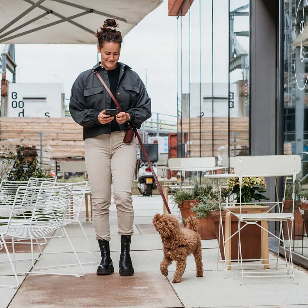 Honden poepzakhouder Bordeaux met goud